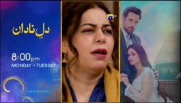 Aafat - Episode 30 - 12th November 2024